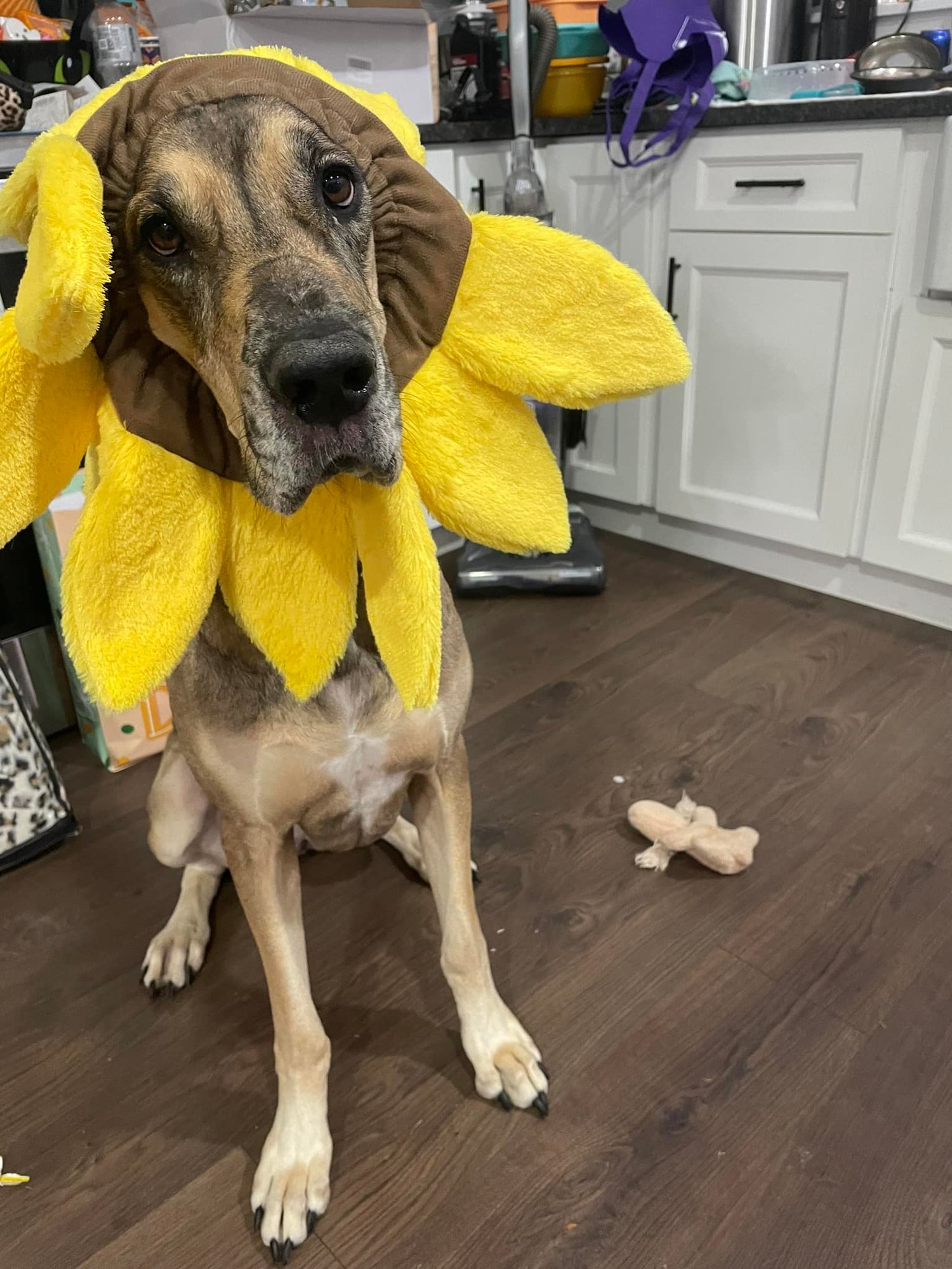 pep
